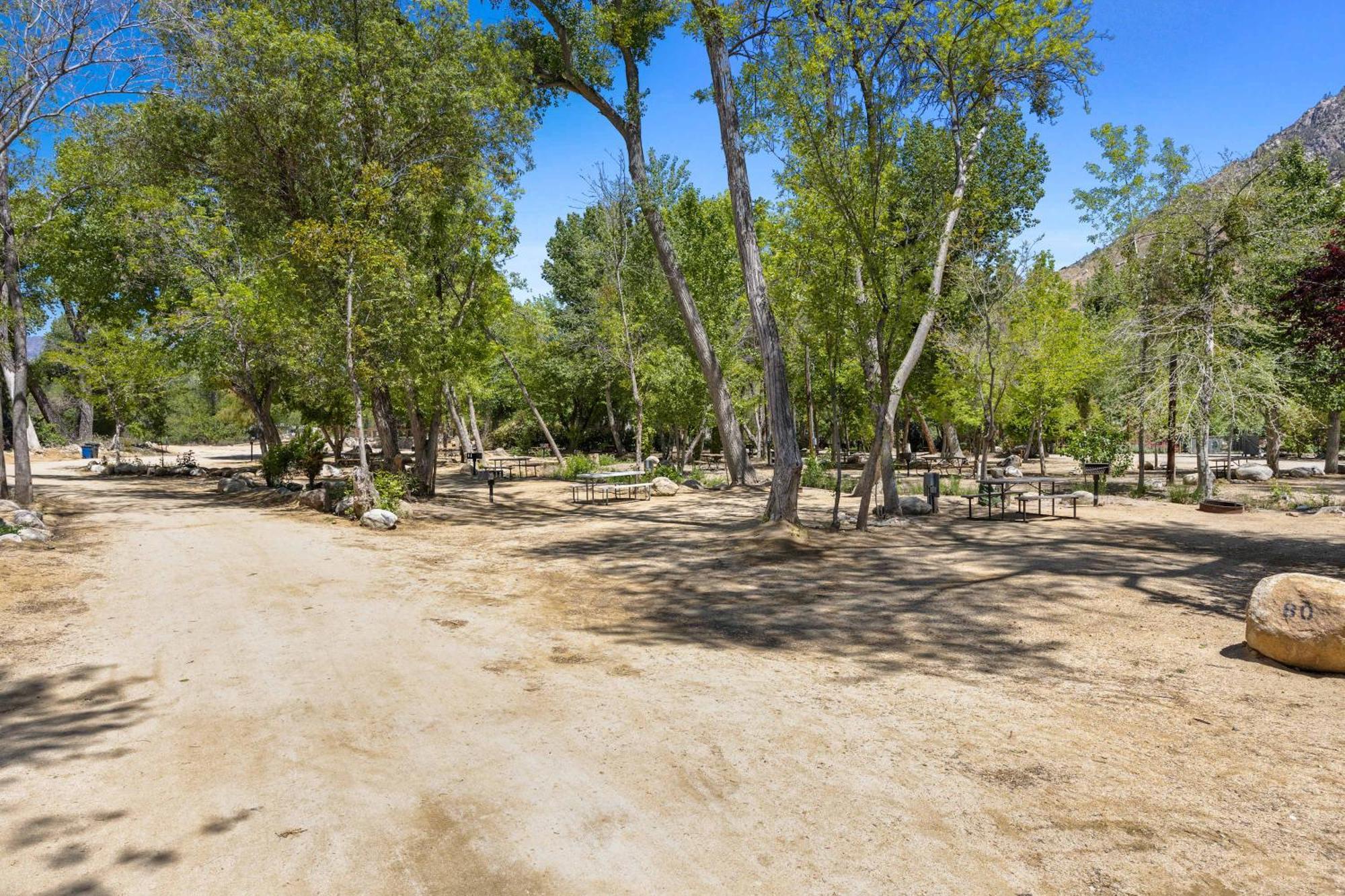 Deluxe Little Cabin 2 Min Stroll To Kern River Kernville Εξωτερικό φωτογραφία